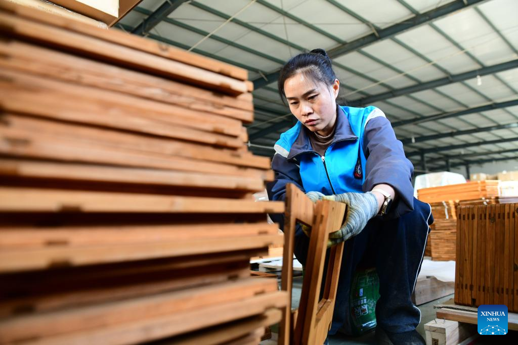 Caoxian County witnesses fast-developing pet economy in E China's Shandong