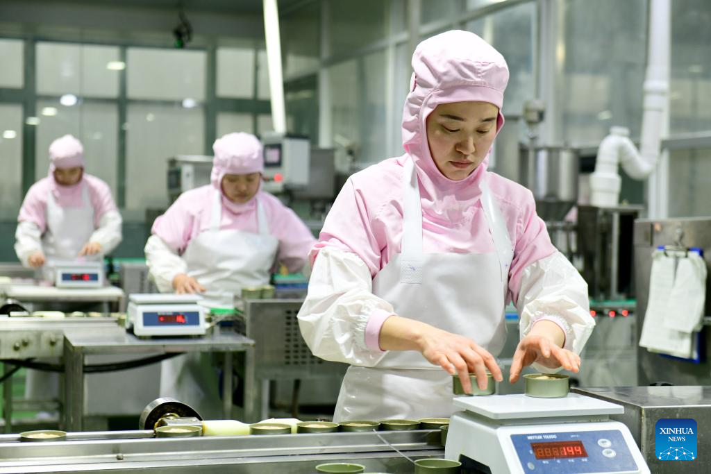 Caoxian County witnesses fast-developing pet economy in E China's Shandong