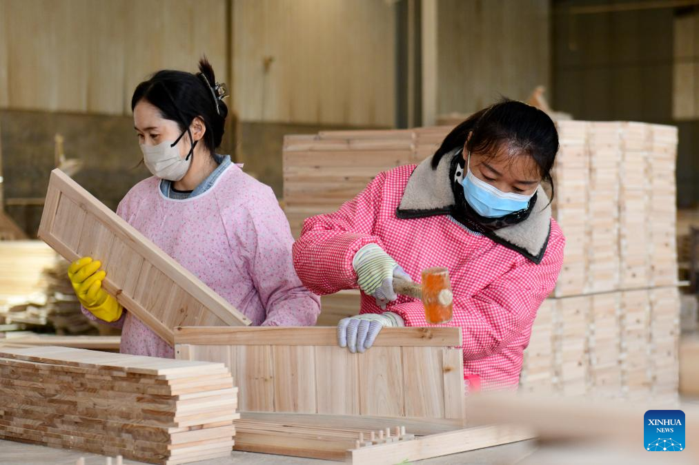 Caoxian County witnesses fast-developing pet economy in E China's Shandong