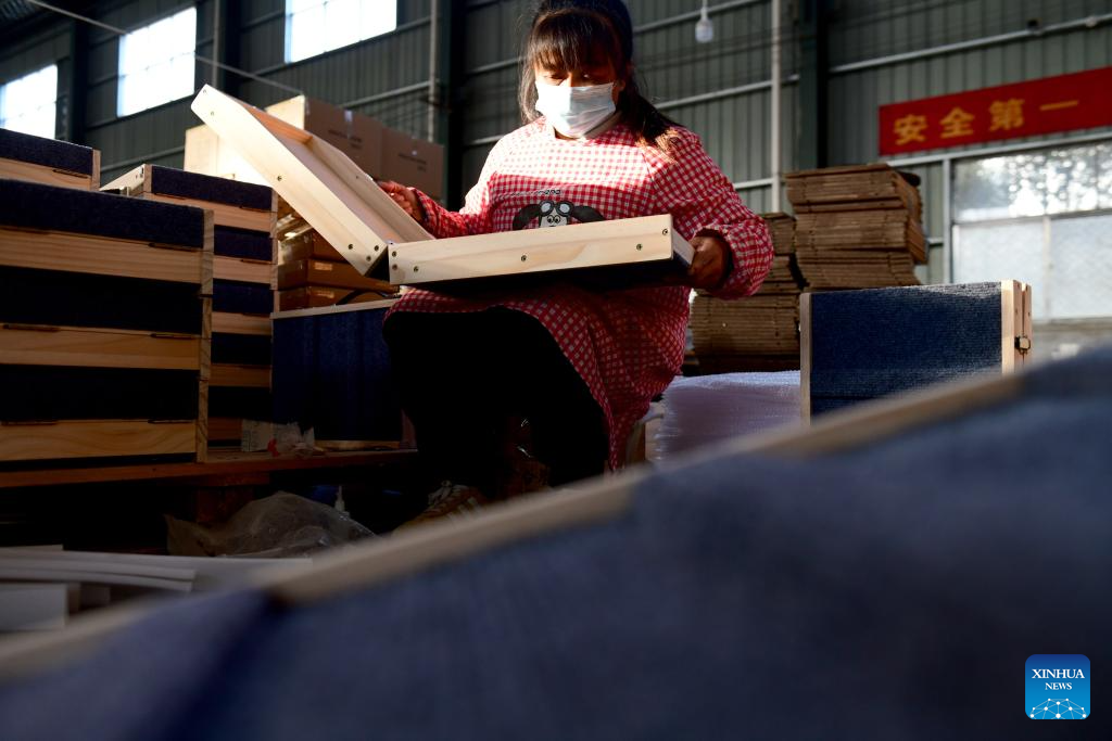 Caoxian County witnesses fast-developing pet economy in E China's Shandong