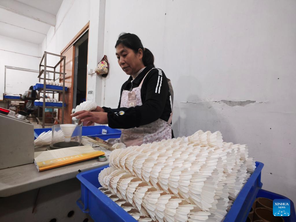 Traditional goose farming city becomes global badminton production base