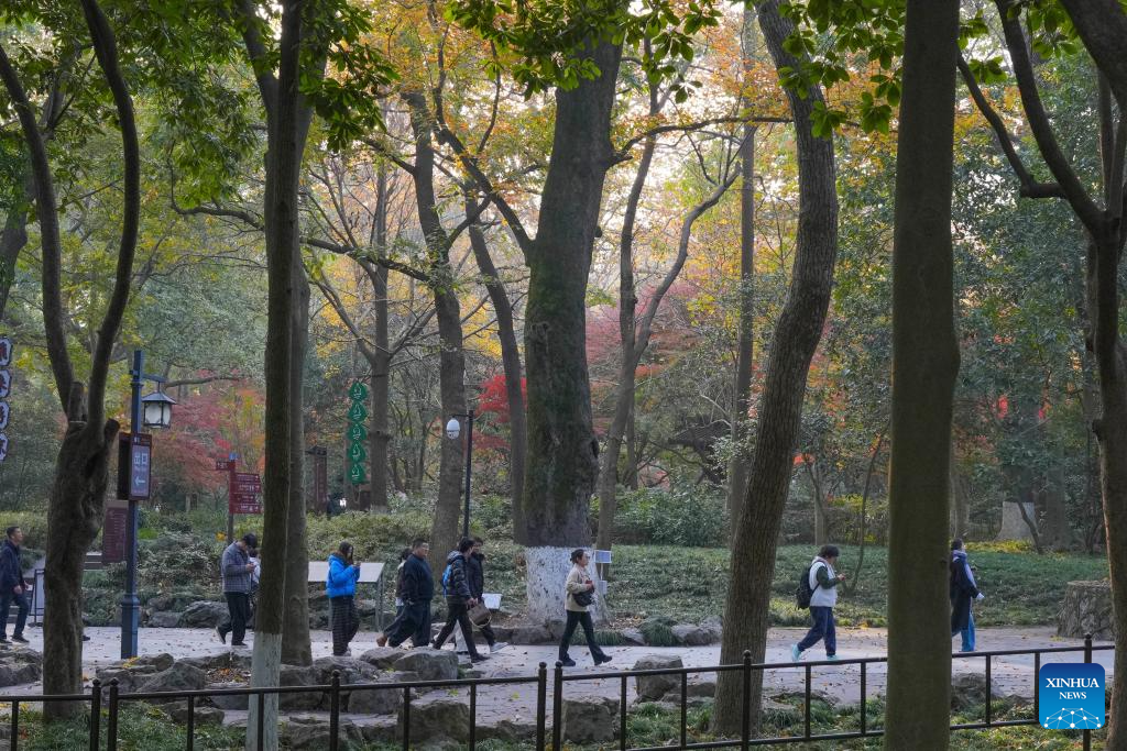 Hangzhou's Lingyin Feilai Peak Scenic Area launches free admission service