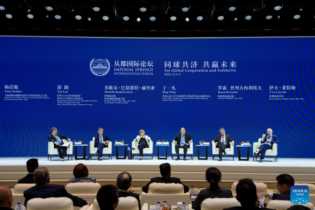 Guests communicate during 2025 Imperial Springs International Forum in Guangzhou