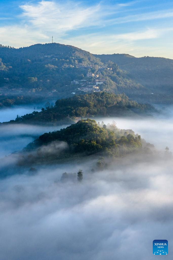 Scenery of Jingmai Mountain in Pu'er City, SW China's Yunnan