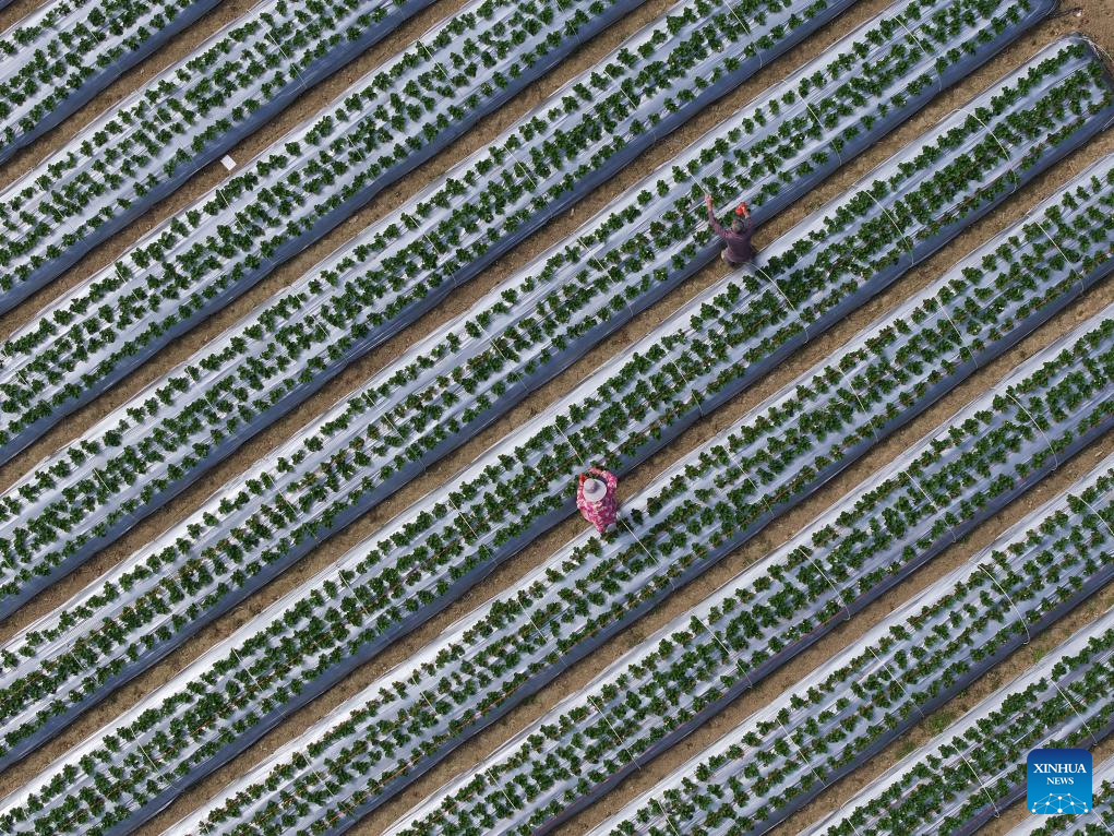 Tourism blooms in Liujiang District, south China's Guangxi