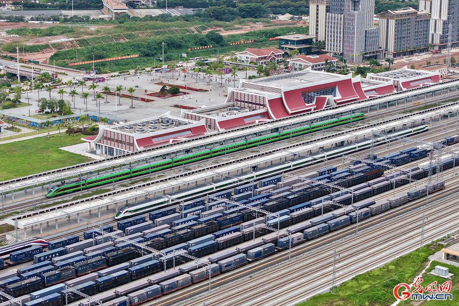 China-Laos Railway marks four years with expanding regional impact China-Laos Railway marks four years with expanding regional impact