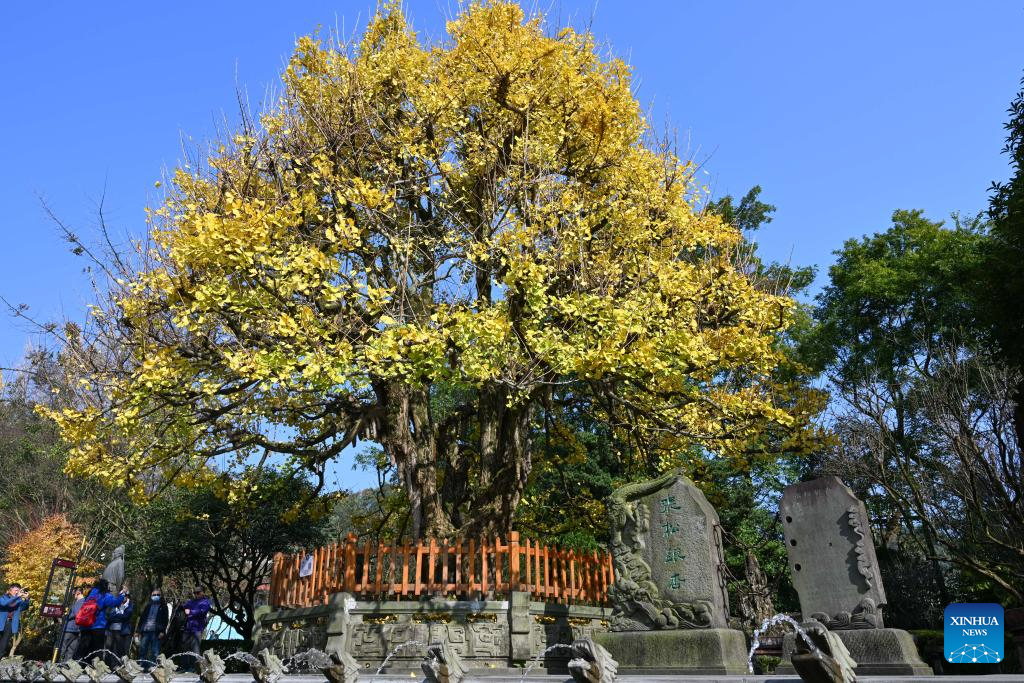 A close look at Dujiangyan irrigation system in Chengdu, China