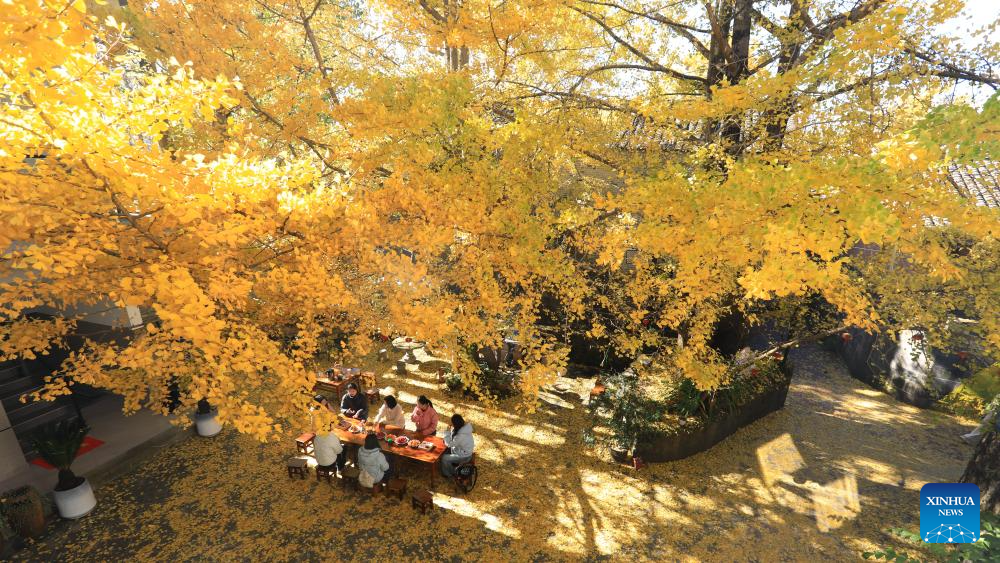 Winter scenery across China