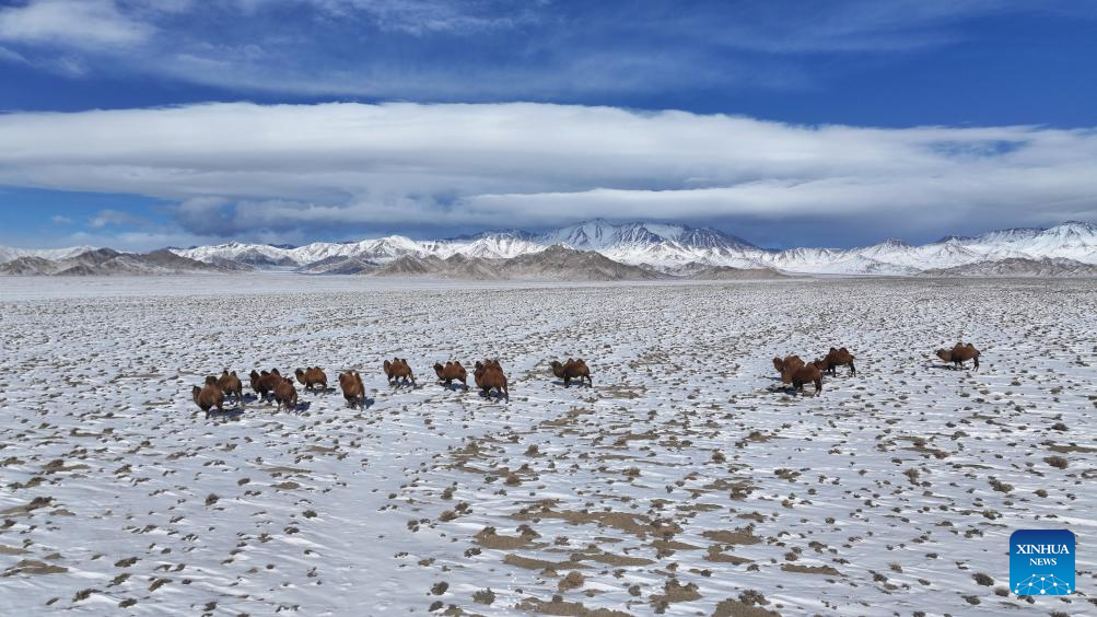 Winter scenery across China