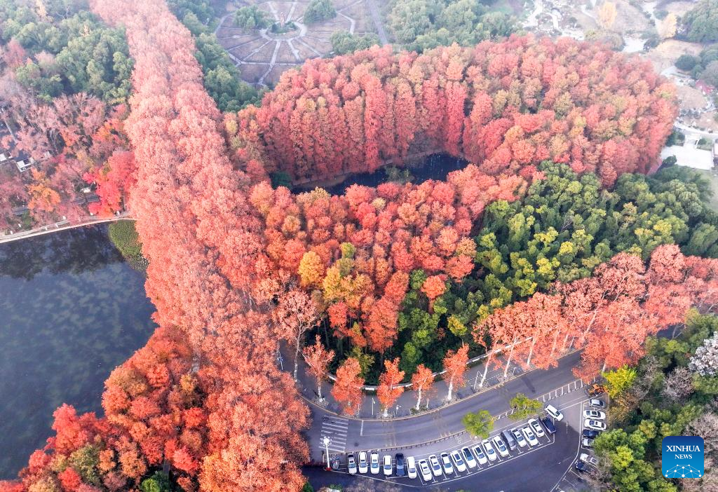 Winter scenery across China