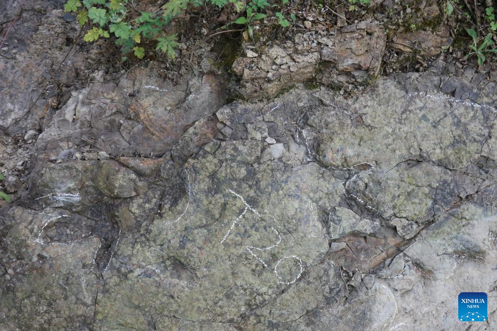 Dinosaur footprints from about 200 mln years ago found in China