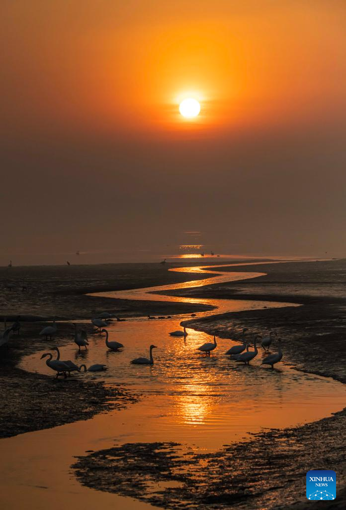 Winter scenery across China