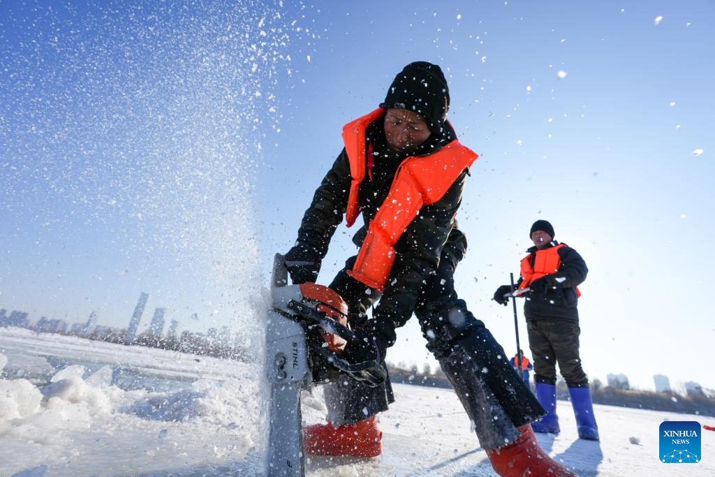 Ice collection underway on frozen stretches of Songhua River in Harbin