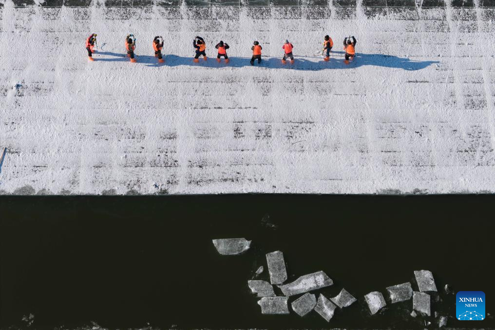 Ice collection underway on frozen stretches of Songhua River in Harbin