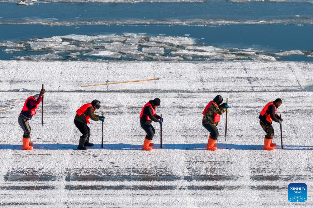 Ice collection underway on frozen stretches of Songhua River in Harbin