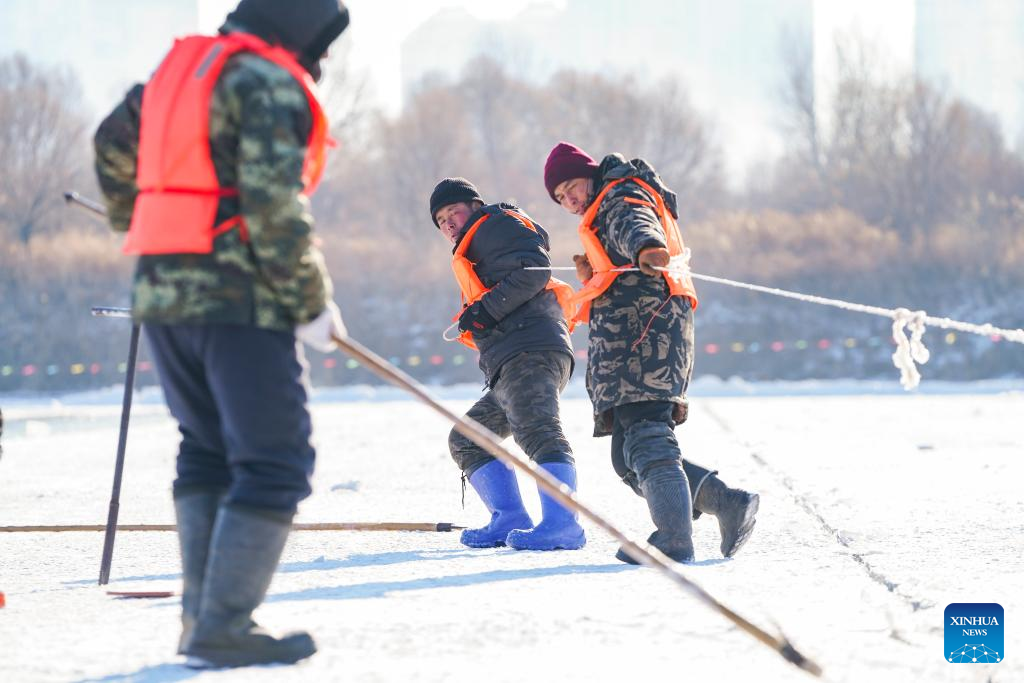 Ice collection underway on frozen stretches of Songhua River in Harbin