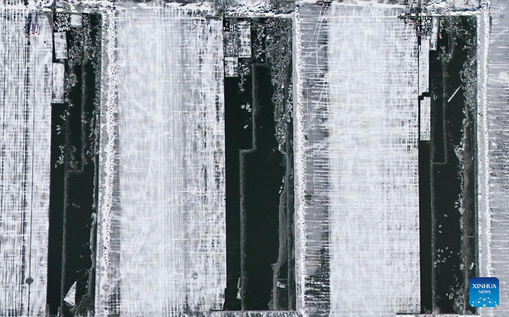 Ice collection underway on frozen stretches of Songhua River in Harbin