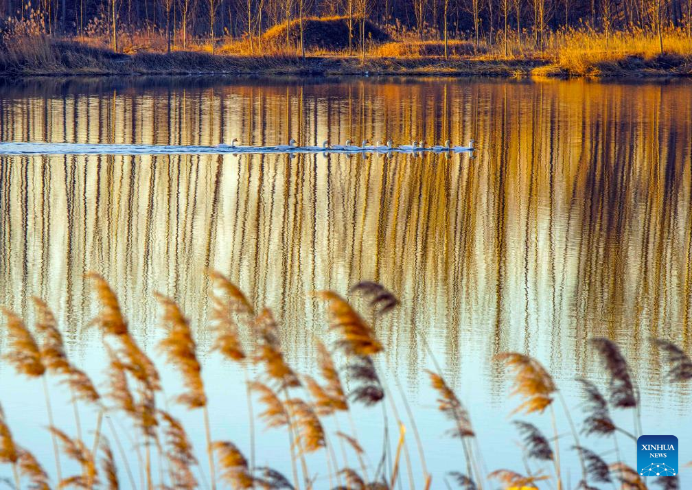 Winter scenery across China