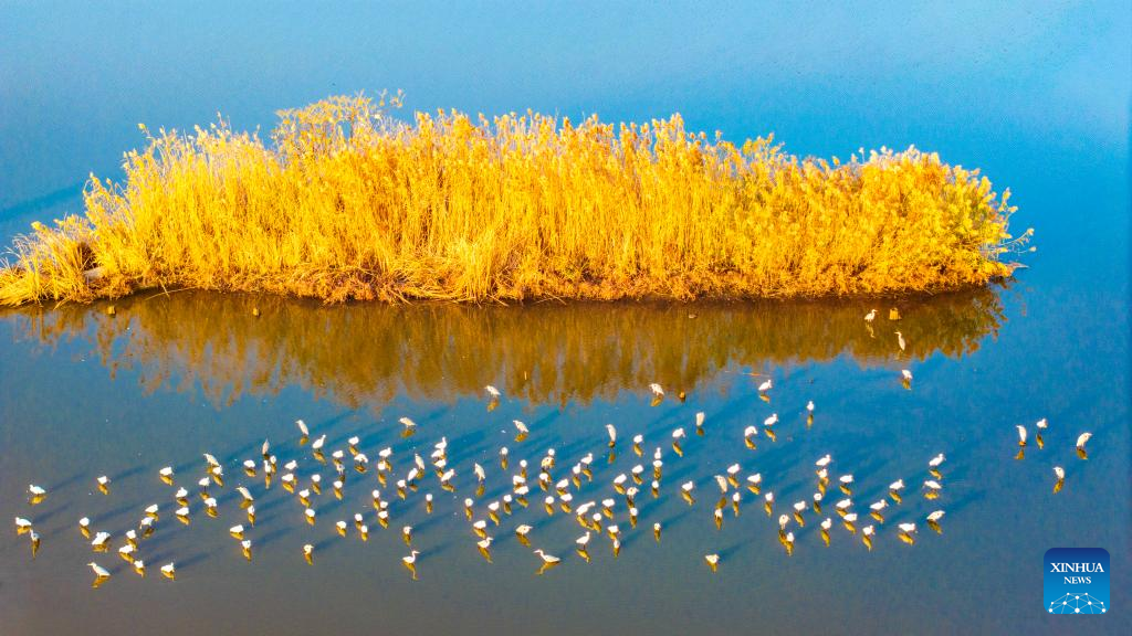 Winter scenery across China