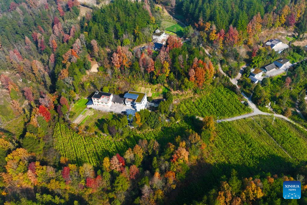 Winter scenery across China