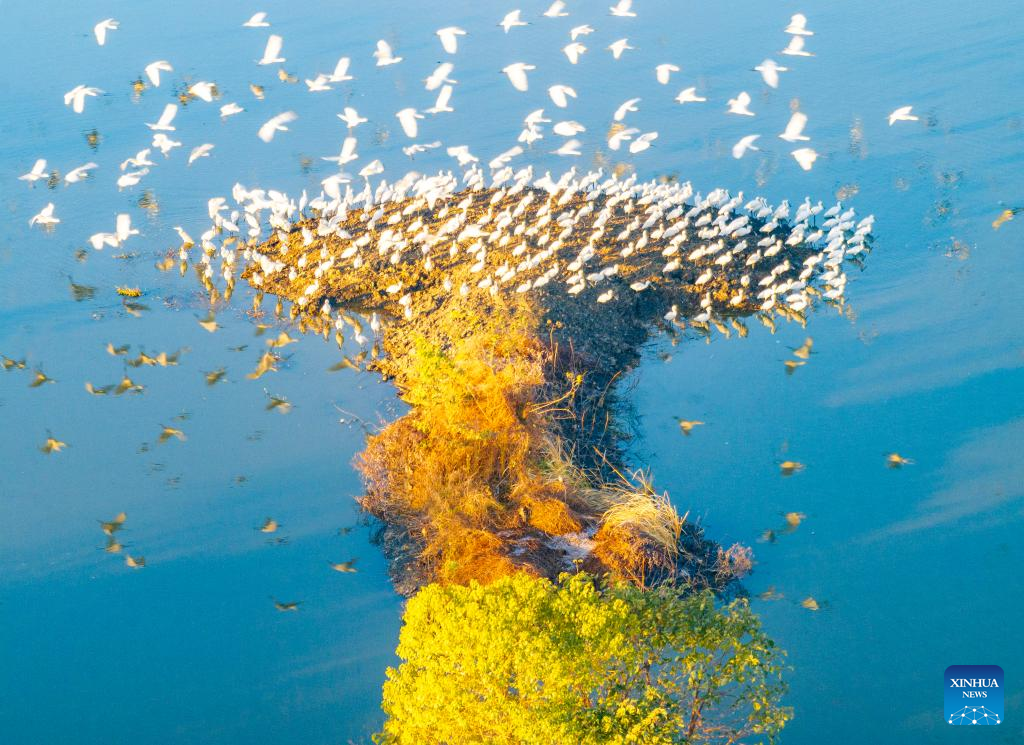 Winter scenery across China