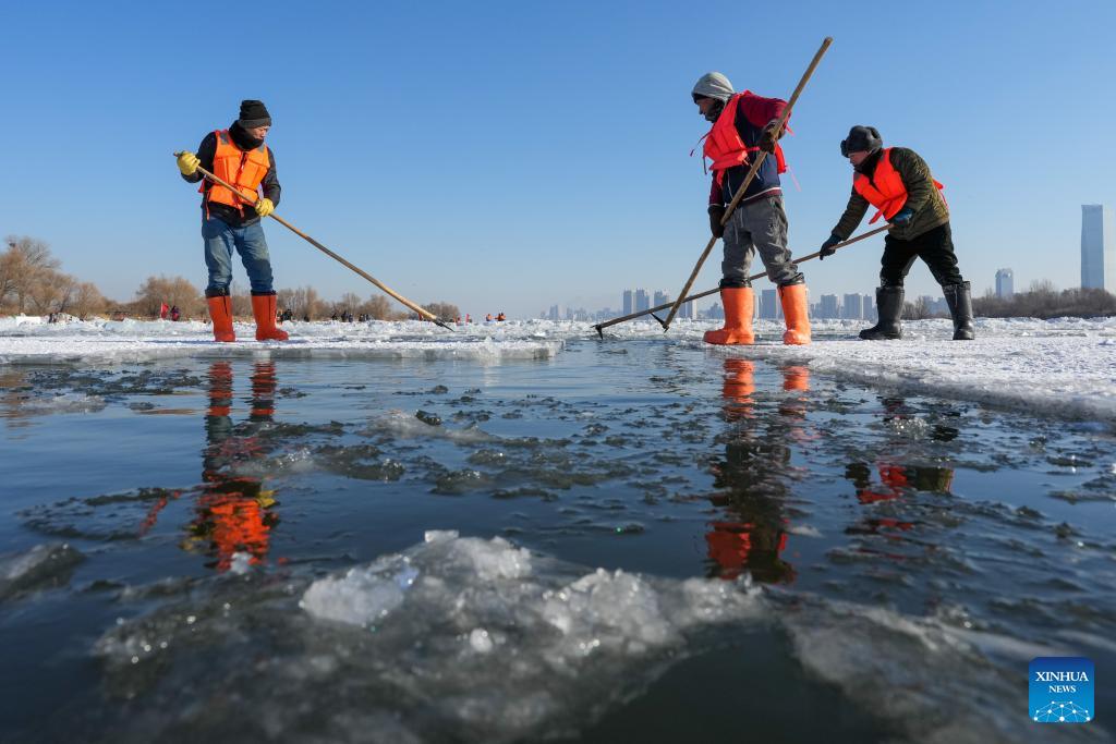 Ice collection underway on frozen stretches of Songhua River in Harbin