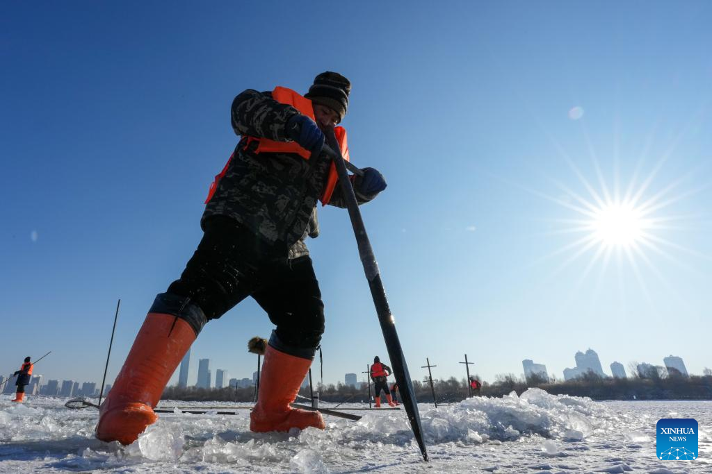 Ice collection underway on frozen stretches of Songhua River in Harbin
