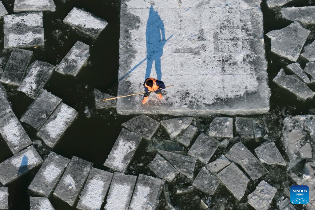 Ice collection underway on frozen stretches of Songhua River in Harbin