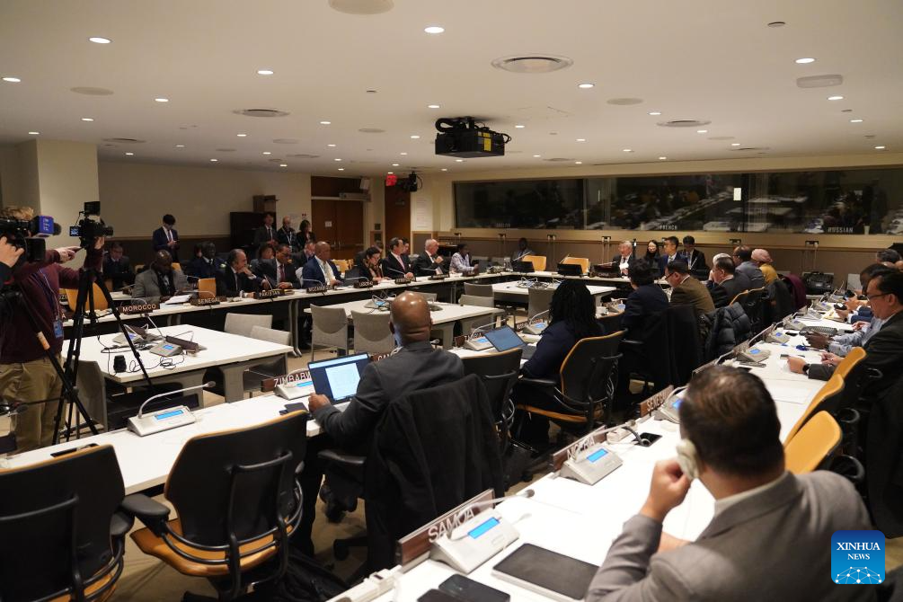 Group of Friends of Global Governance established at UN headquarters in New York