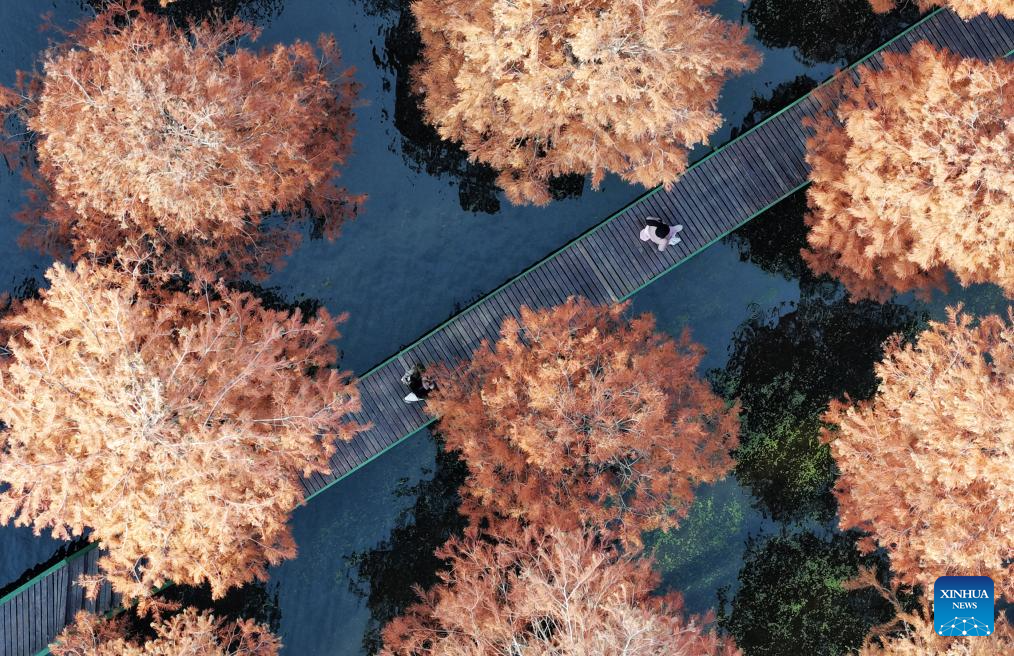 Winter scenery across China