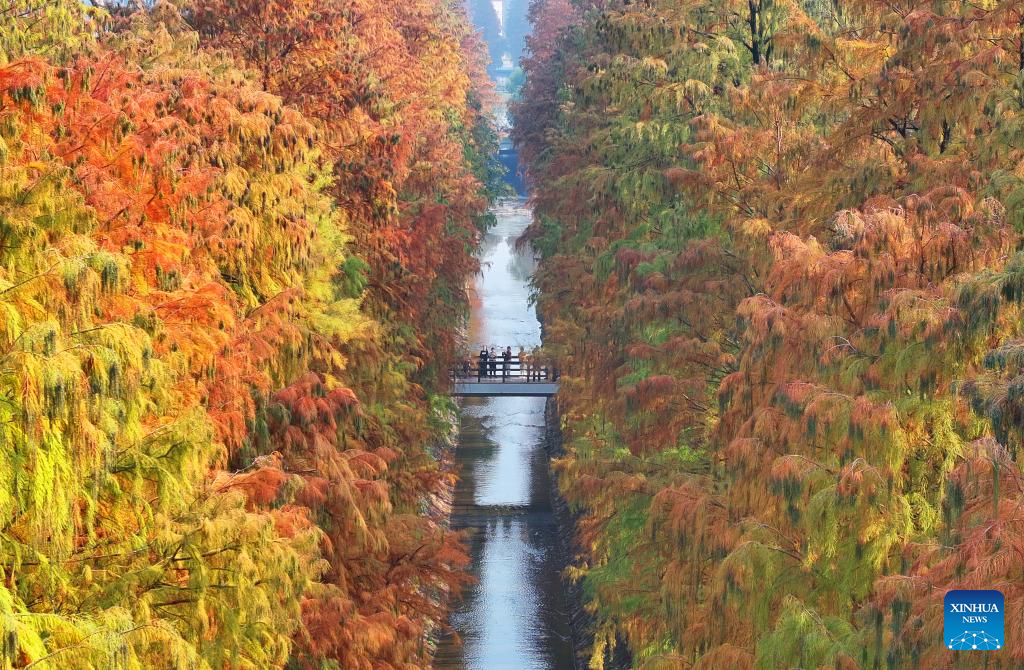 Winter scenery across China
