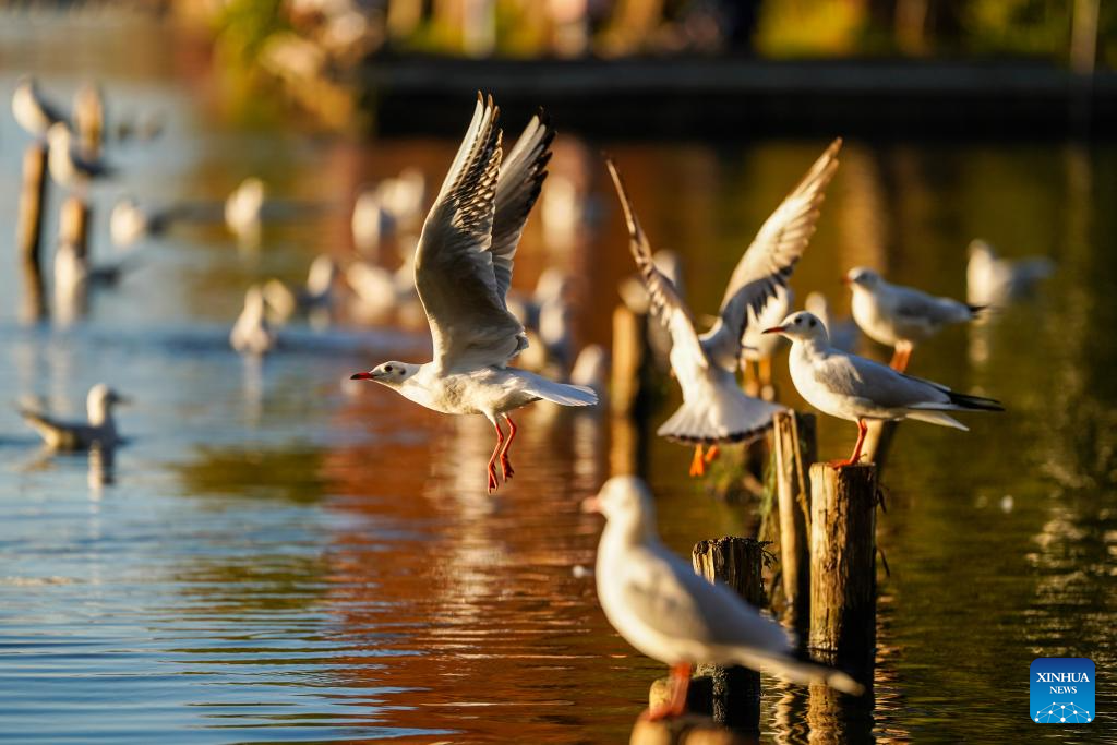 View of Dianchi Lake in Kunming, China's Yunnan
