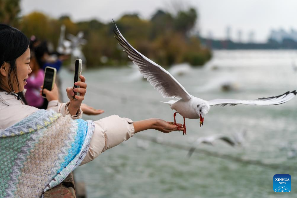 View of Dianchi Lake in Kunming, China's Yunnan