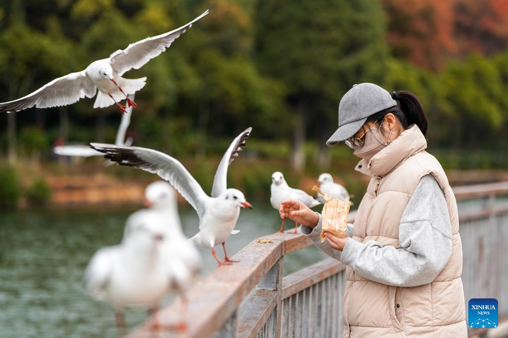 View of Dianchi Lake in Kunming, China's Yunnan