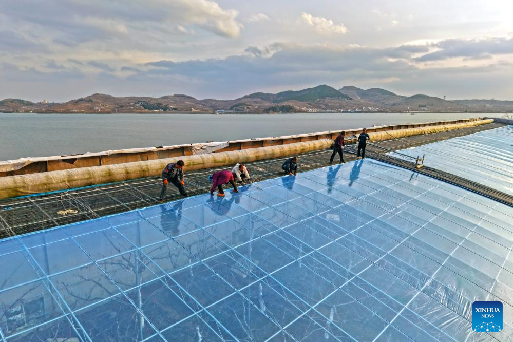 Preventive measures taken as cold front sweeps across northern China