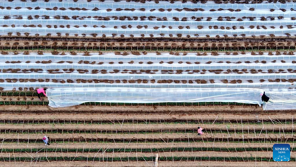 Preventive measures taken as cold front sweeps across northern China