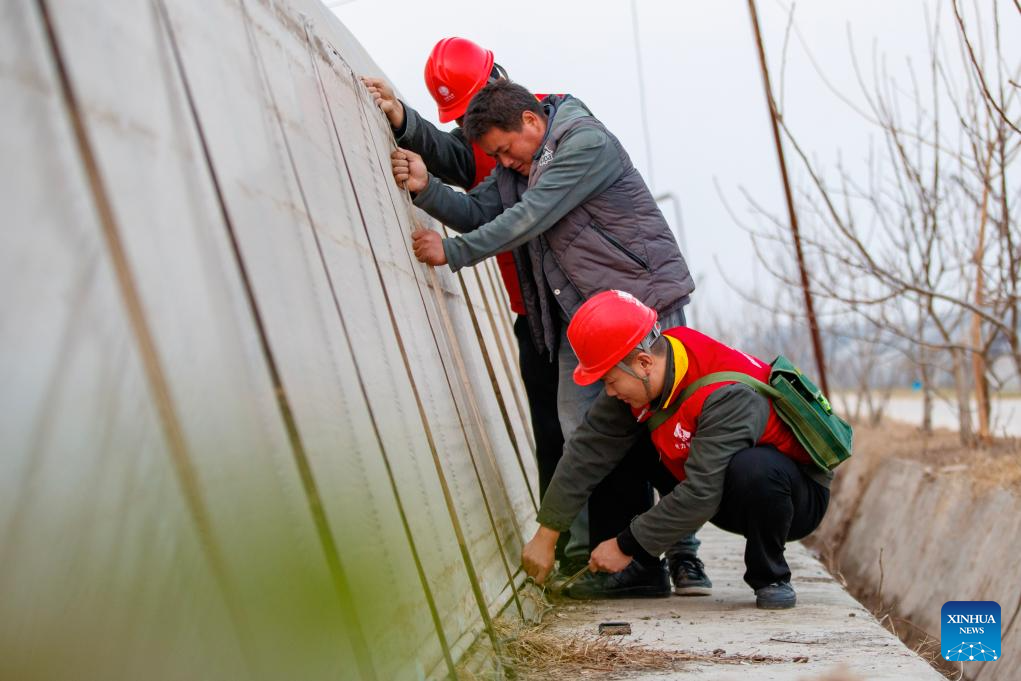Preventive measures taken as cold front sweeps across northern China