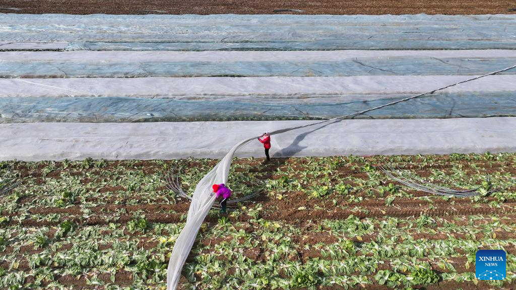 Preventive measures taken as cold front sweeps across northern China