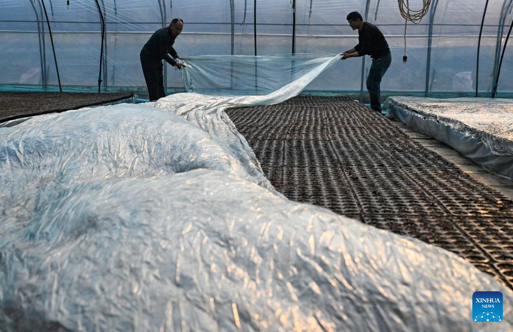 Preventive measures taken as cold front sweeps across northern China