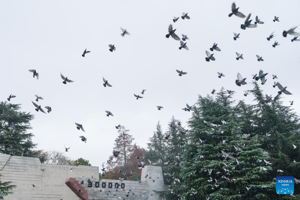 China holds national memorial for Nanjing Massacre victims, calling for remembrance of history