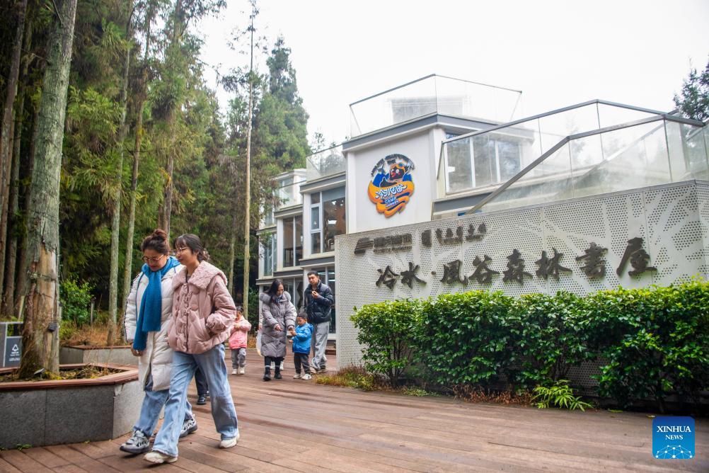 Lengshui Town in China's Chongqing develops leisure sightseeing to boost tourism