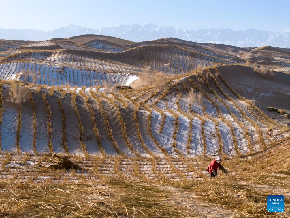 Desert control project underway in Aksay, China's Gansu