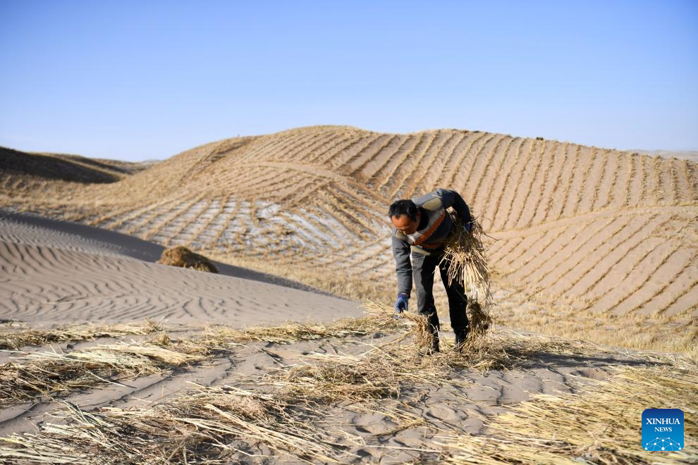 Desert control project underway in Aksay, China's Gansu