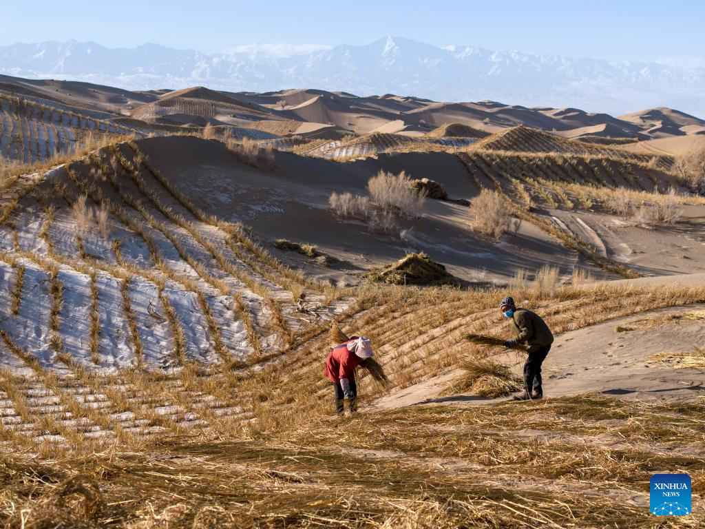 Desert control project underway in Aksay, China's Gansu