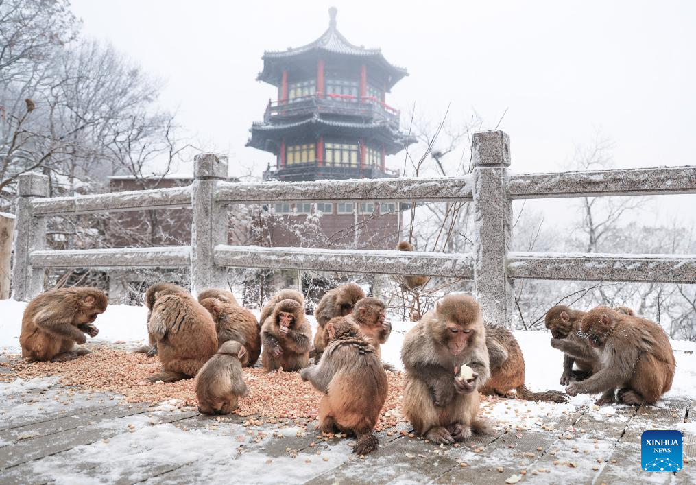 Picturesque view after snowfall across China