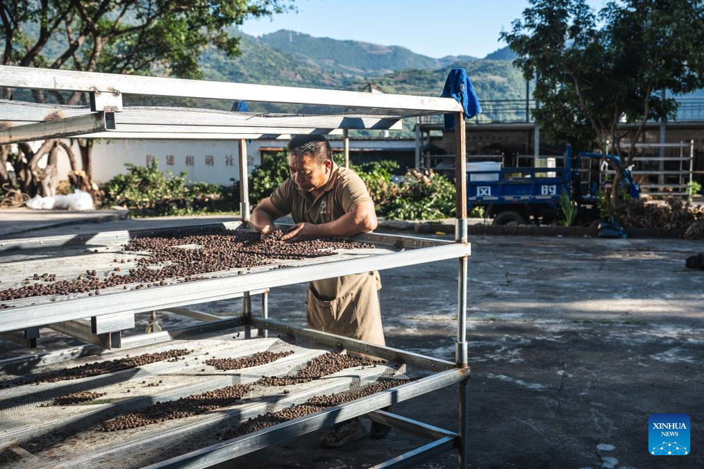 Rich coffee aromas float across China and Türkiye