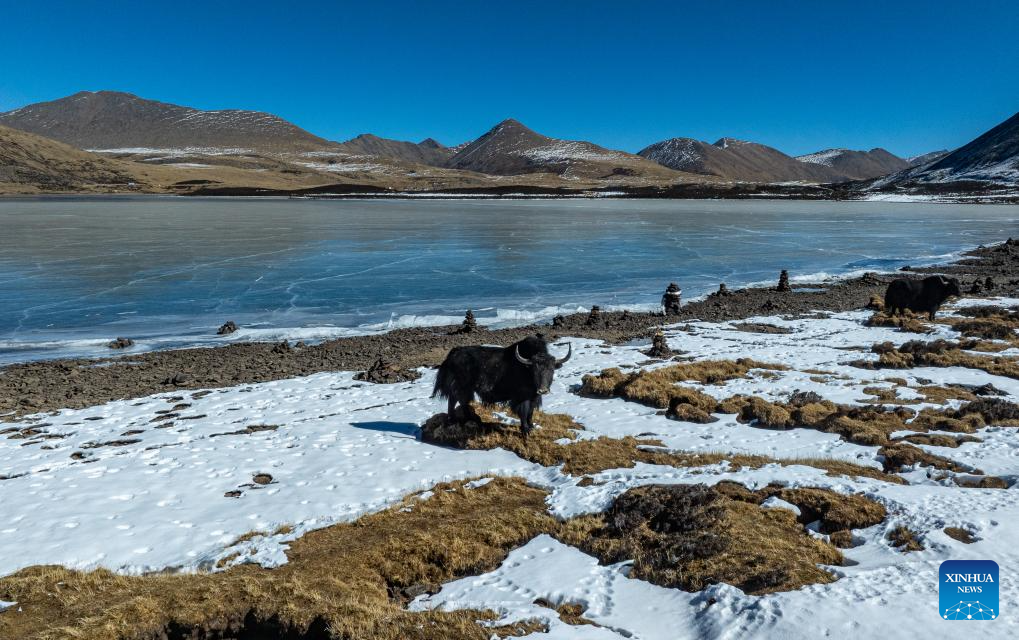 Scenery of lake in Maizhokunggar County, China's Xizang
