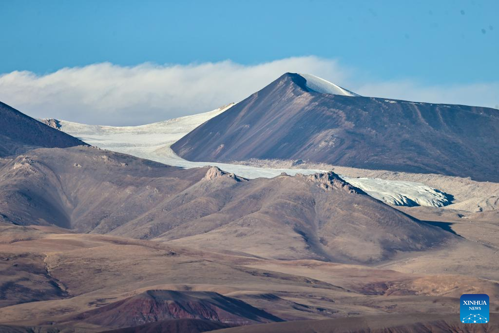 Wild animals thrive at Changtang National Nature Reserve in China's Xizang