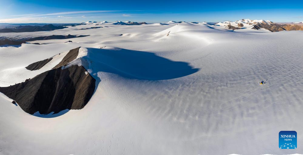 Wild animals thrive at Changtang National Nature Reserve in China's Xizang