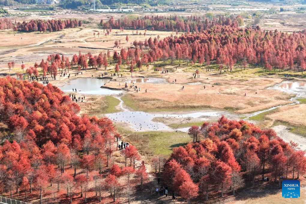 Winter scenery across China